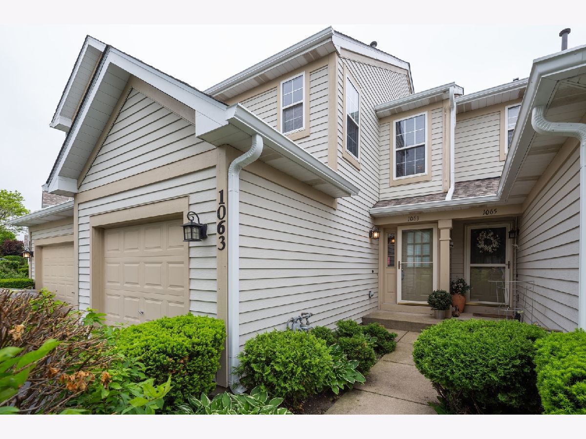 Townhomes & Condos Sold Remington Farms Lake In The Hills Illinois, 1063 Horizon Ridge