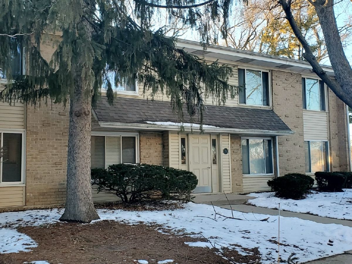 Condos & Townhomes & Homes Rented Moon Lake Village Hoffman Estates Illinois, 1760 Robin Walk