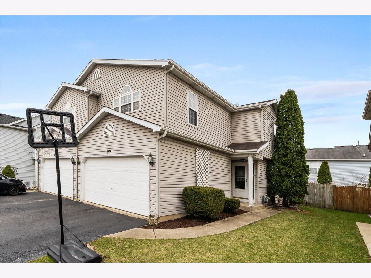 Condos & Townhomes Sold Winola Manor Aurora Illinois, 981 Autumn