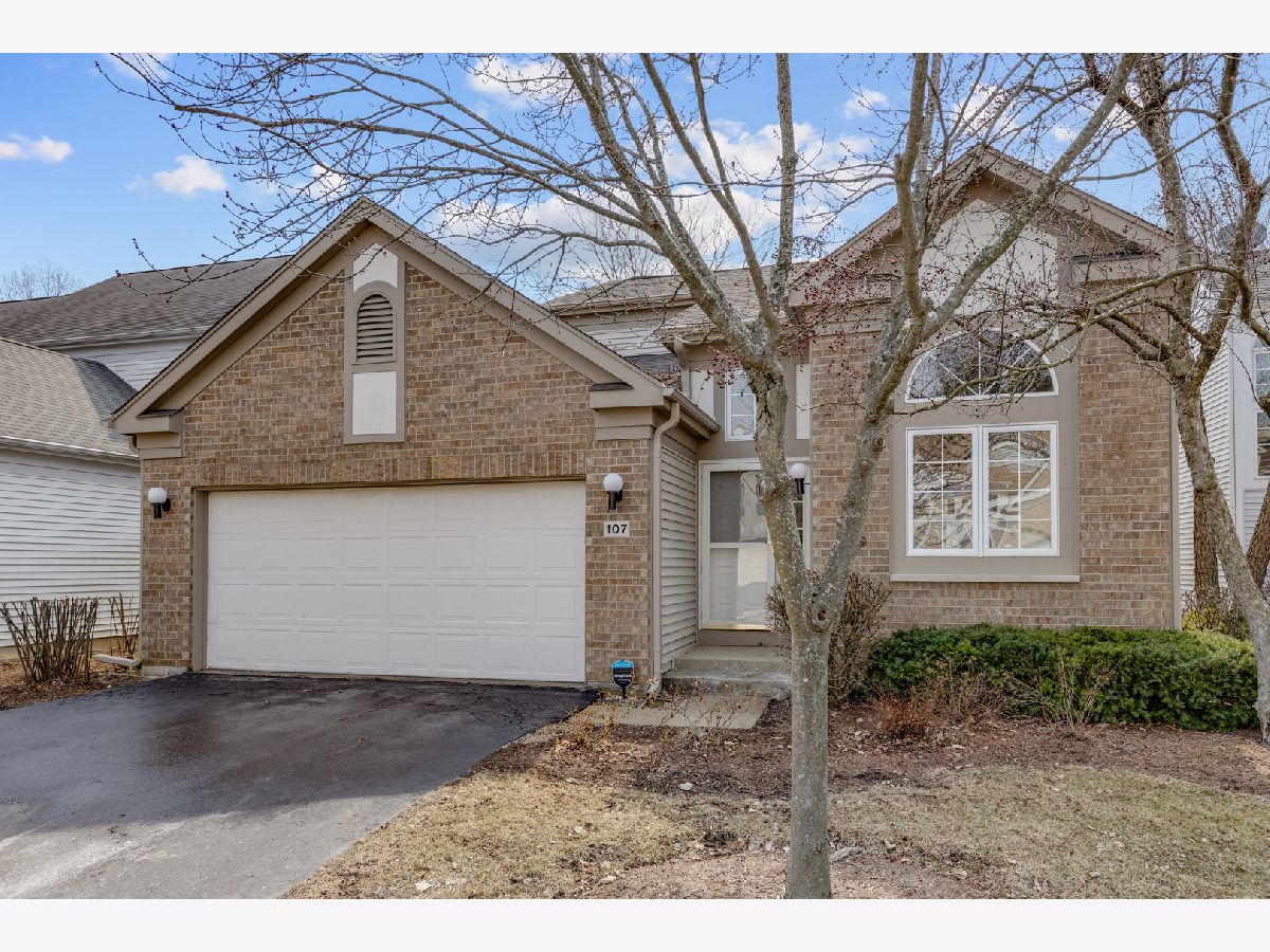 Condominiums & Homes Sold Manchester Green Buffalo Grove Illinois, 107 Manchester