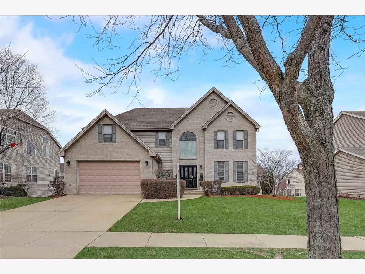 Homes Sold Shenandoah Palatine Illinois, 460 Amherst