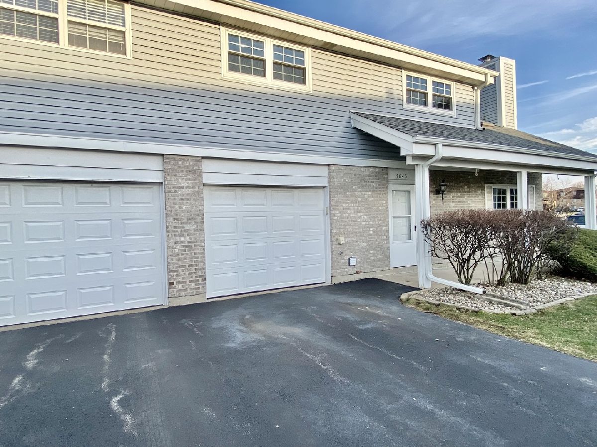 Townhomes & Condos & Homes Rented Steeple Run Tinley Park Illinois, 7045 Coachwood
