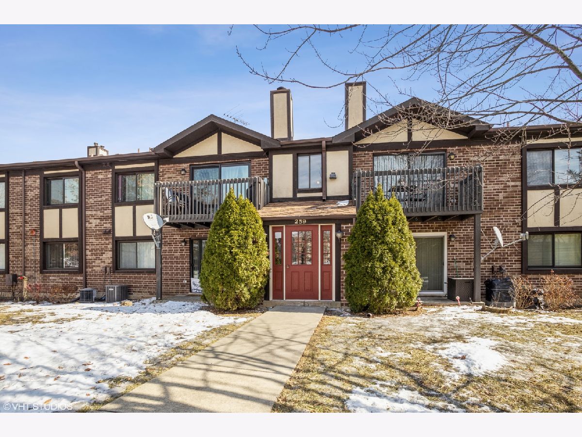Condominiums Sold Willow Bridge Bloomingdale Illinois, 259 Stoneybrook