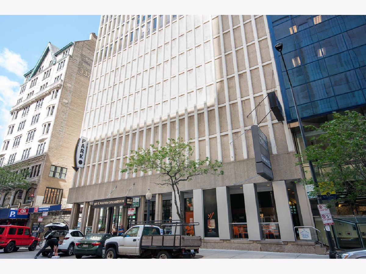 Condominiums Rented Walton Colonade Chicago Illinois, 100 Walton