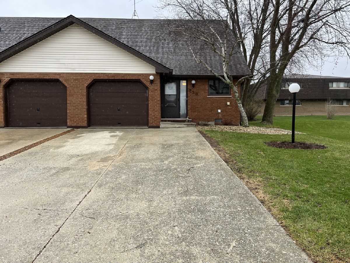 Townhomes & Condos & Homes Sold Fairview Manhattan Illinois, 230 Fairview