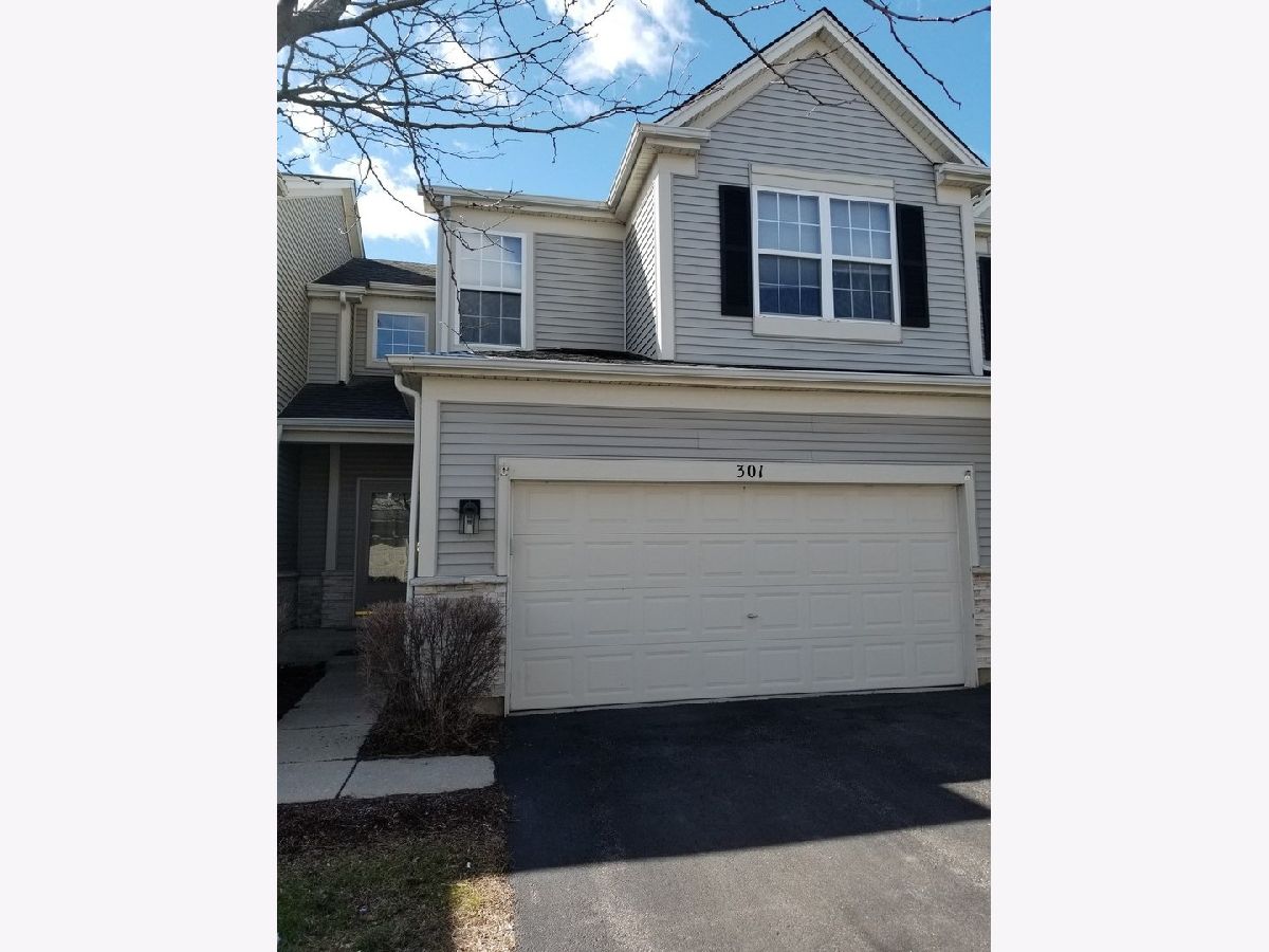 Homes & Townhomes Rented Robin Glen South Elgin Illinois, 301 Robin