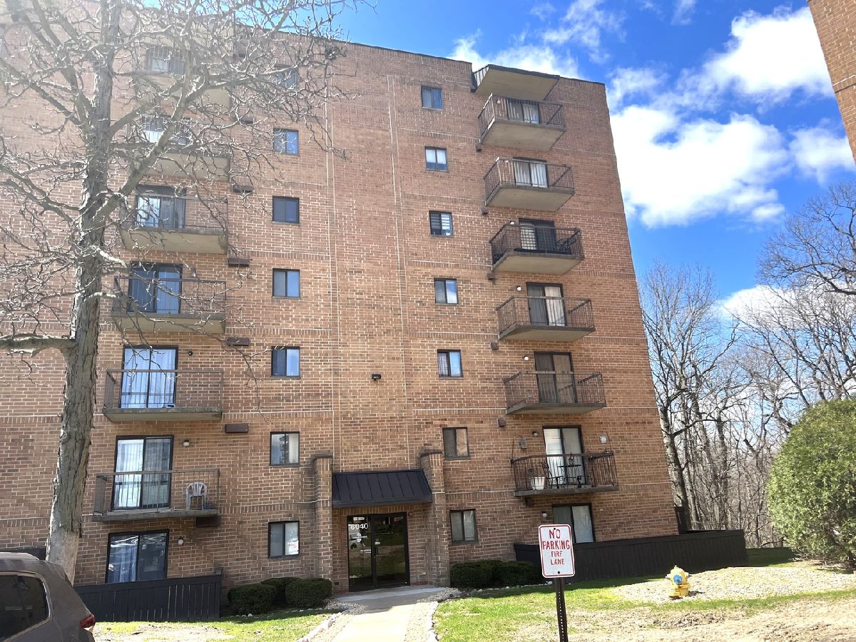 Condos & Townhomes & Homes Sold Edgewater Walk Tinley Park Illinois, 6040 Lake Bluff