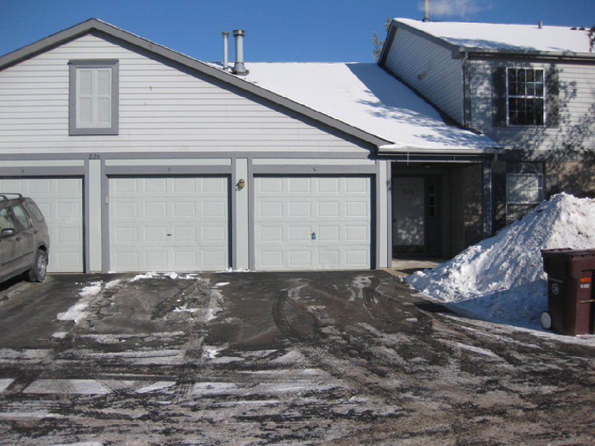 Condos & Townhomes Rented Crestview Estates Wauconda Illinois, 224 Brett
