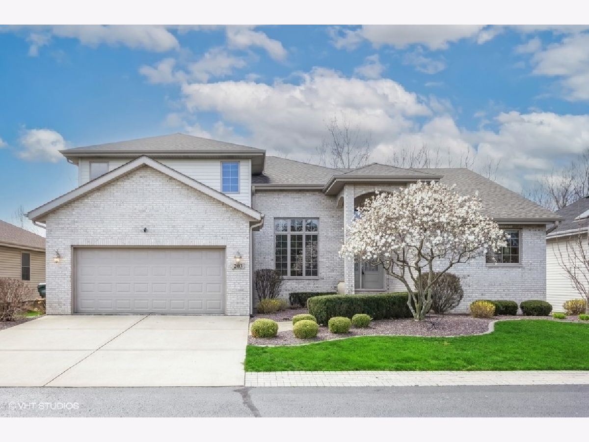 Homes & Townhomes Sold Rivers Edge Minooka Illinois, 203 Sibley