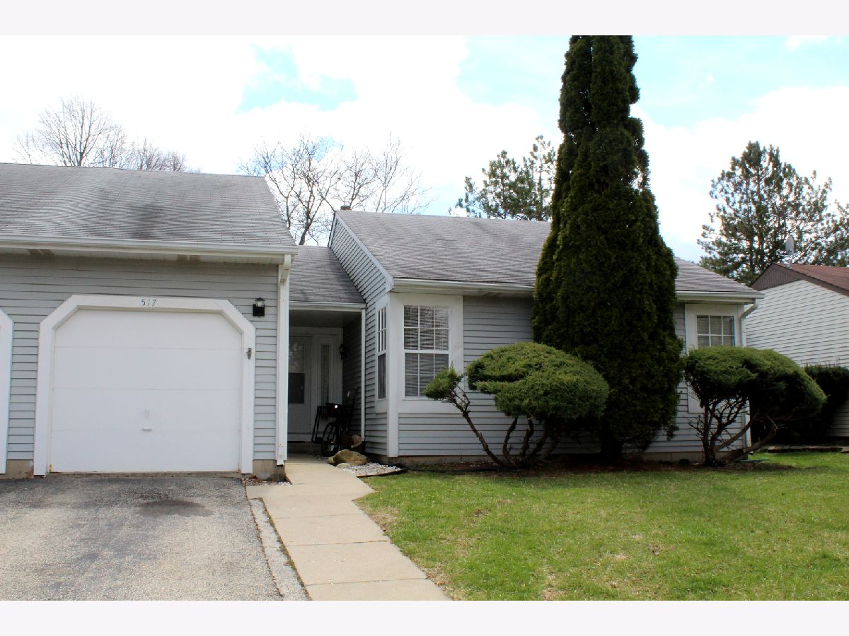 Townhomes Rented Serendipity Buffalo Grove Illinois, 517 Lasalle