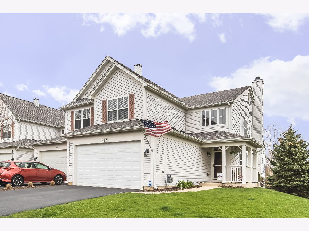 Townhomes Sold Eagles Ridge Bartlett Illinois, 525 Horizon