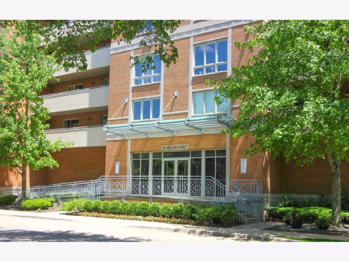 Condos & Townhomes Sold William Place River Forest Illinois, 435 William