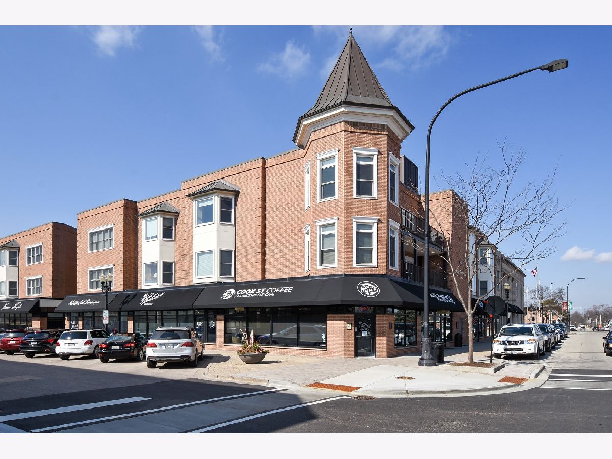 Condominiums Rented Cook Street Plaza Barrington Illinois, 100 Station