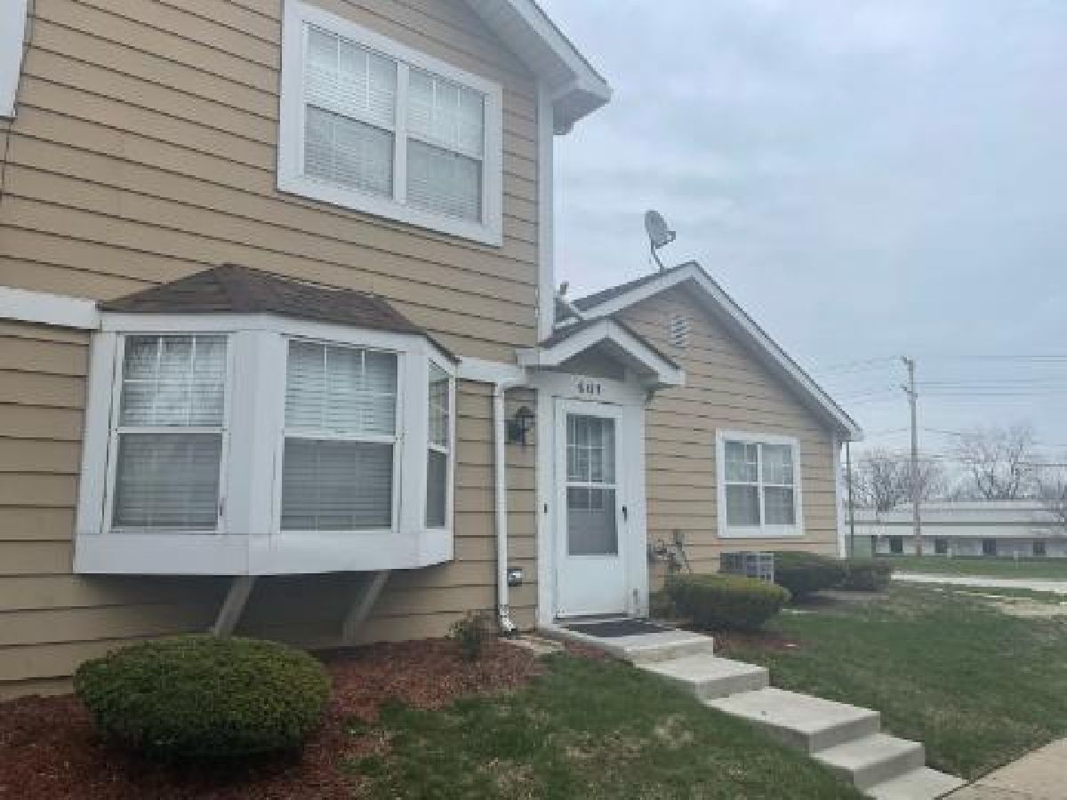 Townhomes & Condos Rented Cornell Lakes Palatine Illinois, 461 Cambridge