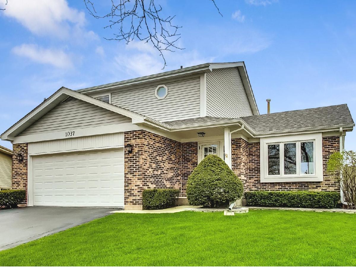 Homes Sold Meadow Lake Palatine Illinois, 1037 Olde Virginia