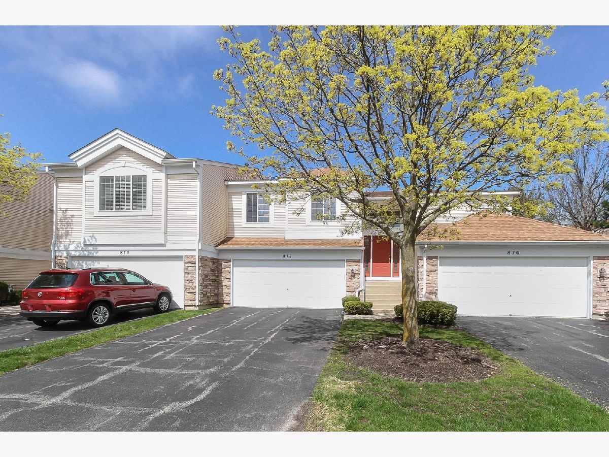 Townhomes & Condos Sold Sierra Ridge Elgin Illinois, 872 Mesa