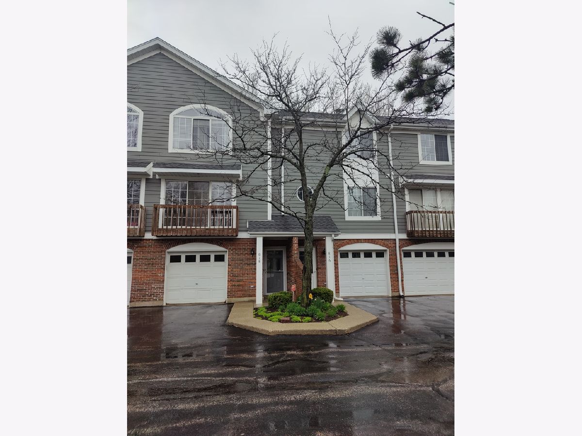 Townhomes Rented Hickory Hill Palatine Illinois, 818 Saint Johns