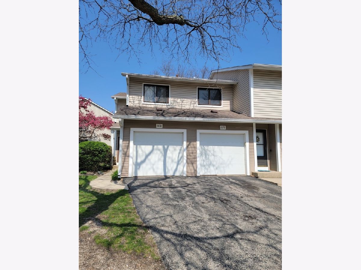 Townhomes & Condos Sold Cunningham Courts Palatine Illinois, 1076 Randville