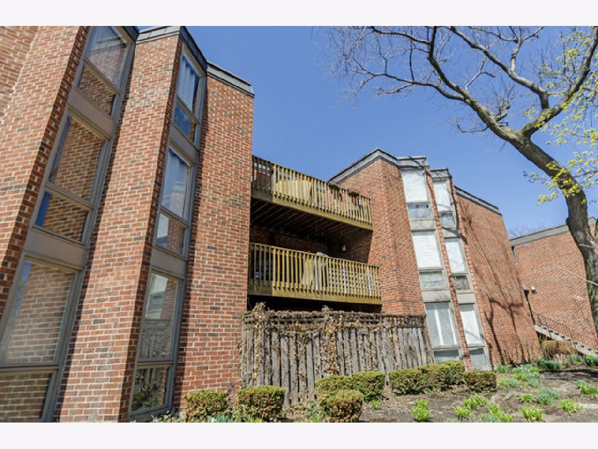 Condos & Townhomes Rented Oz Park Gardens Chicago Illinois, 2036 Larrabee