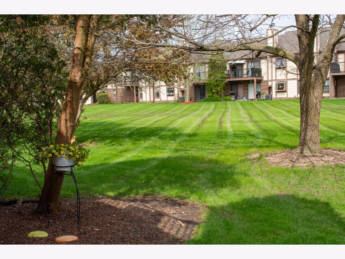 595 Elizabeth Drive, Wood Dale, Illinois 60191 MLS 11400235 WinterCohen