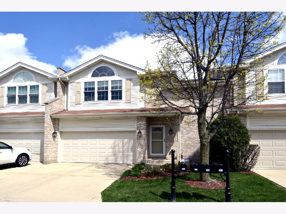 Townhomes & Homes Sold Tall Oaks Wood Dale Illinois, 215 Heather