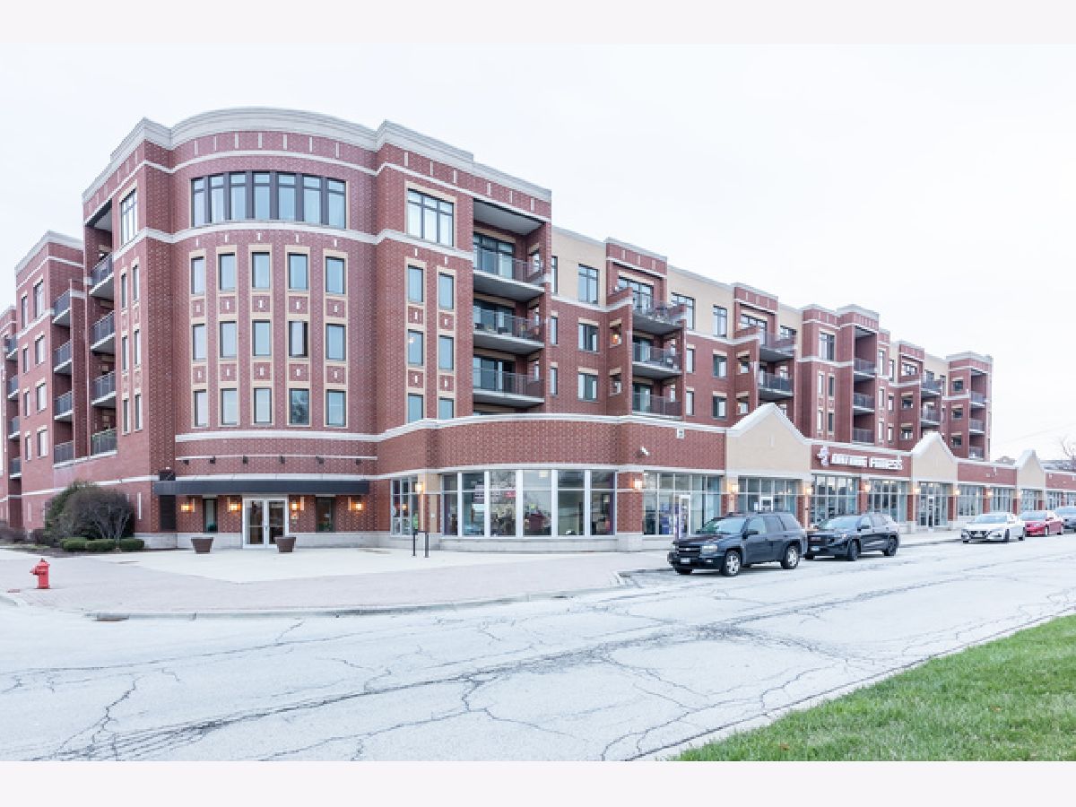Condominiums Rented Park Street Crossing Roselle Illinois, 225 Main