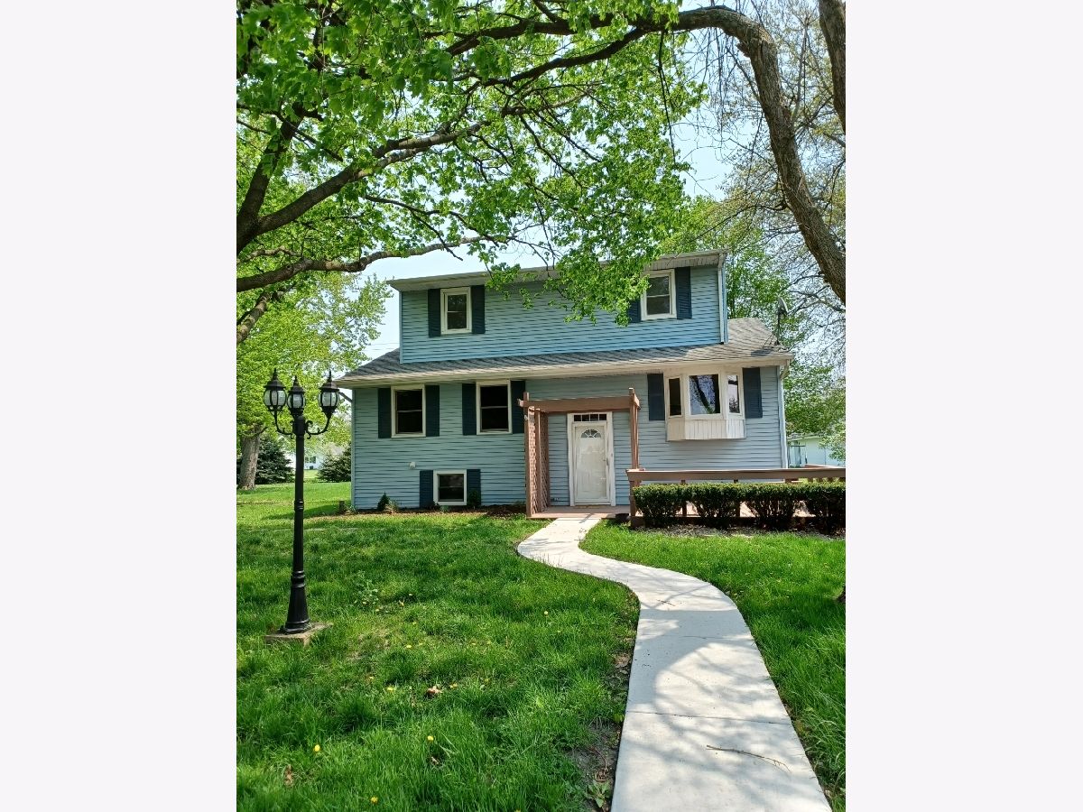 61377 Wenona Sadie Winter Dana Cohen