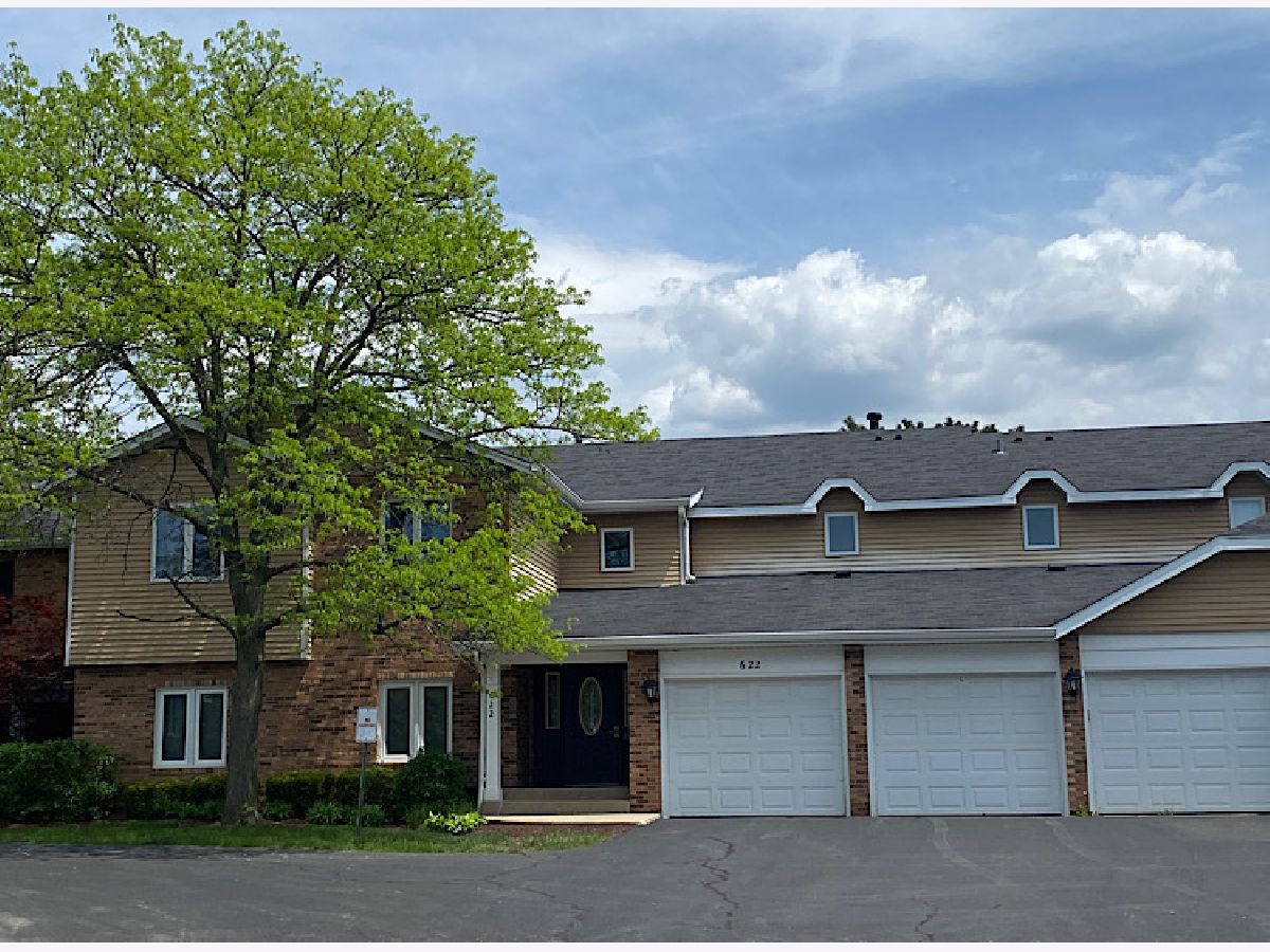 Homes & Condos & Townhomes Rented Creekside Naperville Illinois, 622 Dana