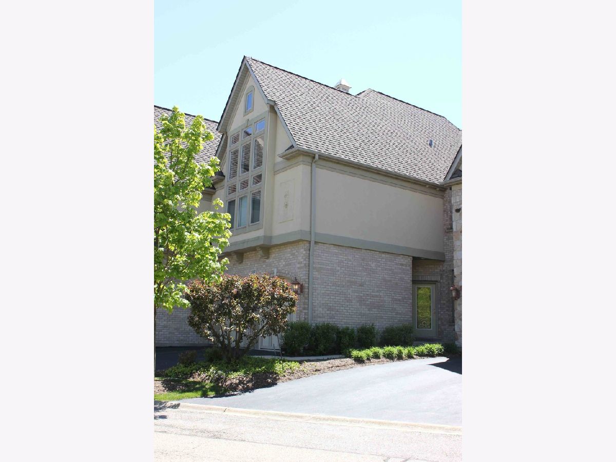 Townhomes Sold Maison Du Comte Palatine Illinois, 1537 Rue James