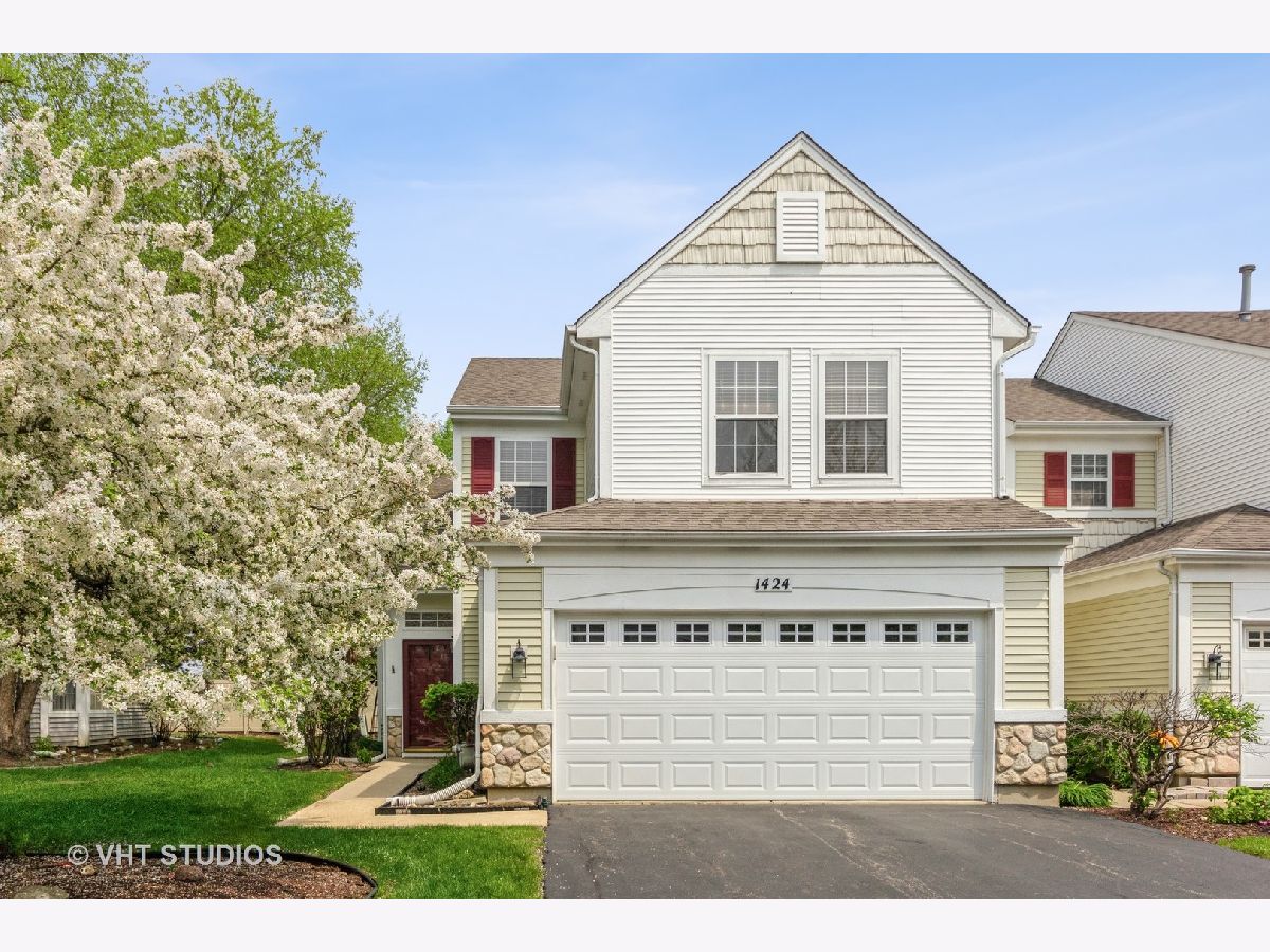 Townhomes & Homes Sold Pinebrook Bolingbrook Illinois, 1424 White Pine