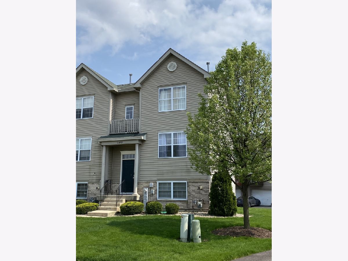 Townhomes & Homes Sold Pine Valley Lockport Illinois, 2107 Austrian Pine