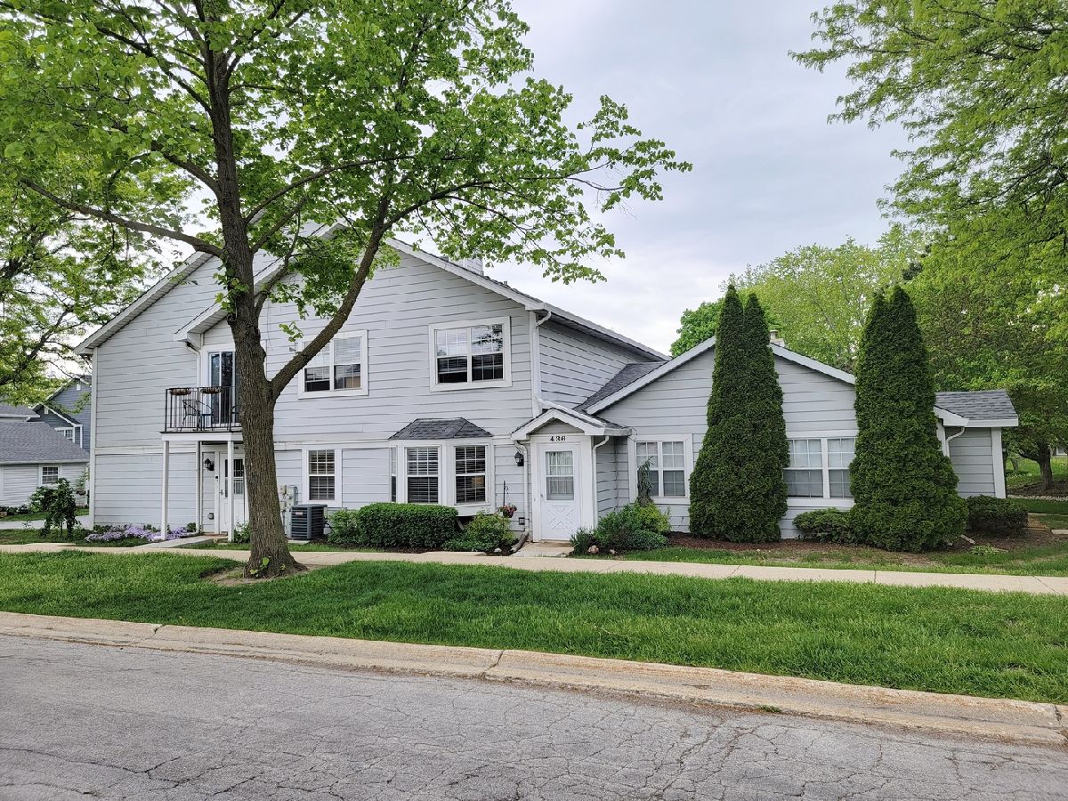 Townhomes & Condos Sold Cornell Lakes Palatine Illinois, 436 Cambridge