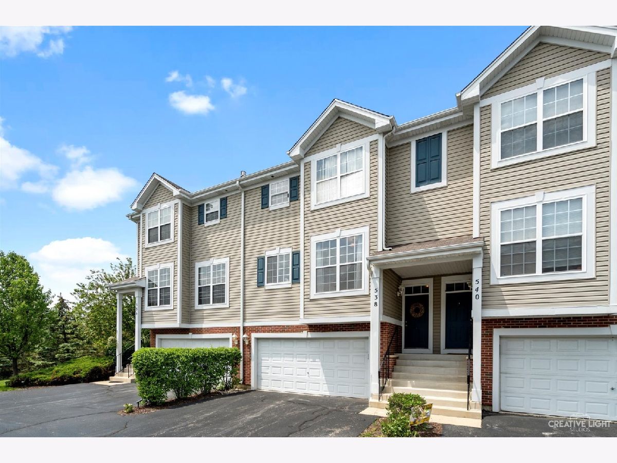 Townhomes & Condos Sold Legacy Fields Aurora Illinois, 538 Declaration