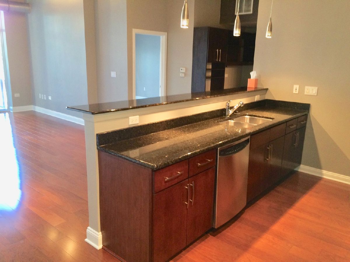 Condominiums Rented Museum Park Lofts Ii Chicago Illinois, 1305 Michigan