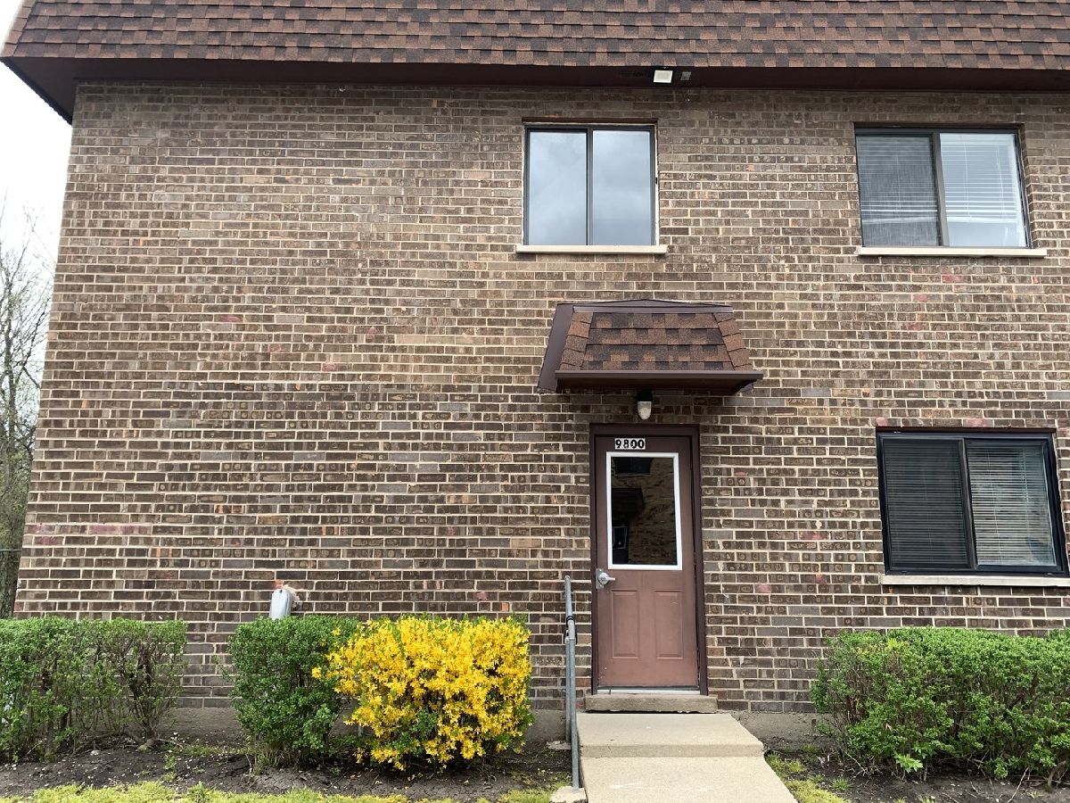 Condominiums Rented La Casa Bianco Des Plaines Illinois, 9800 Bianco