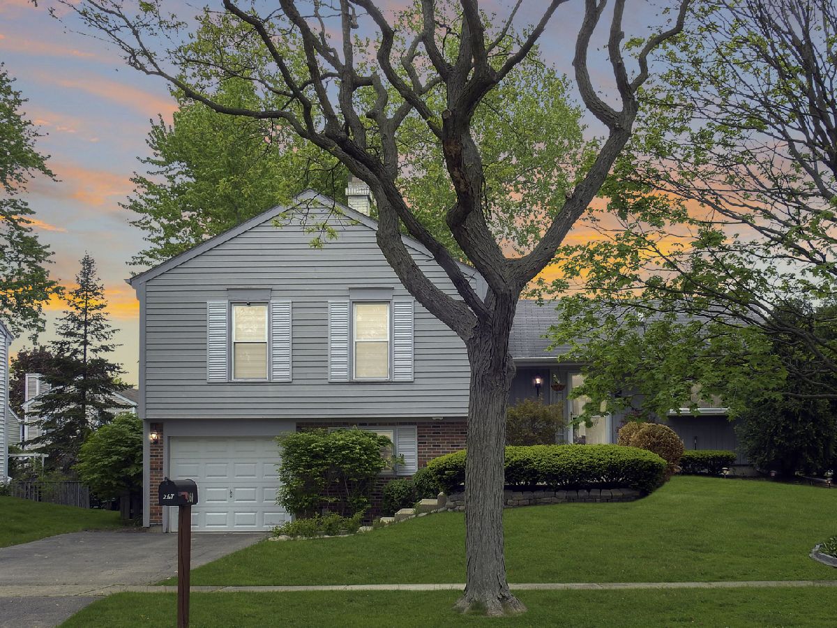 Homes Sold Brookfarm Estates Bartlett Illinois, 267 Cleburne