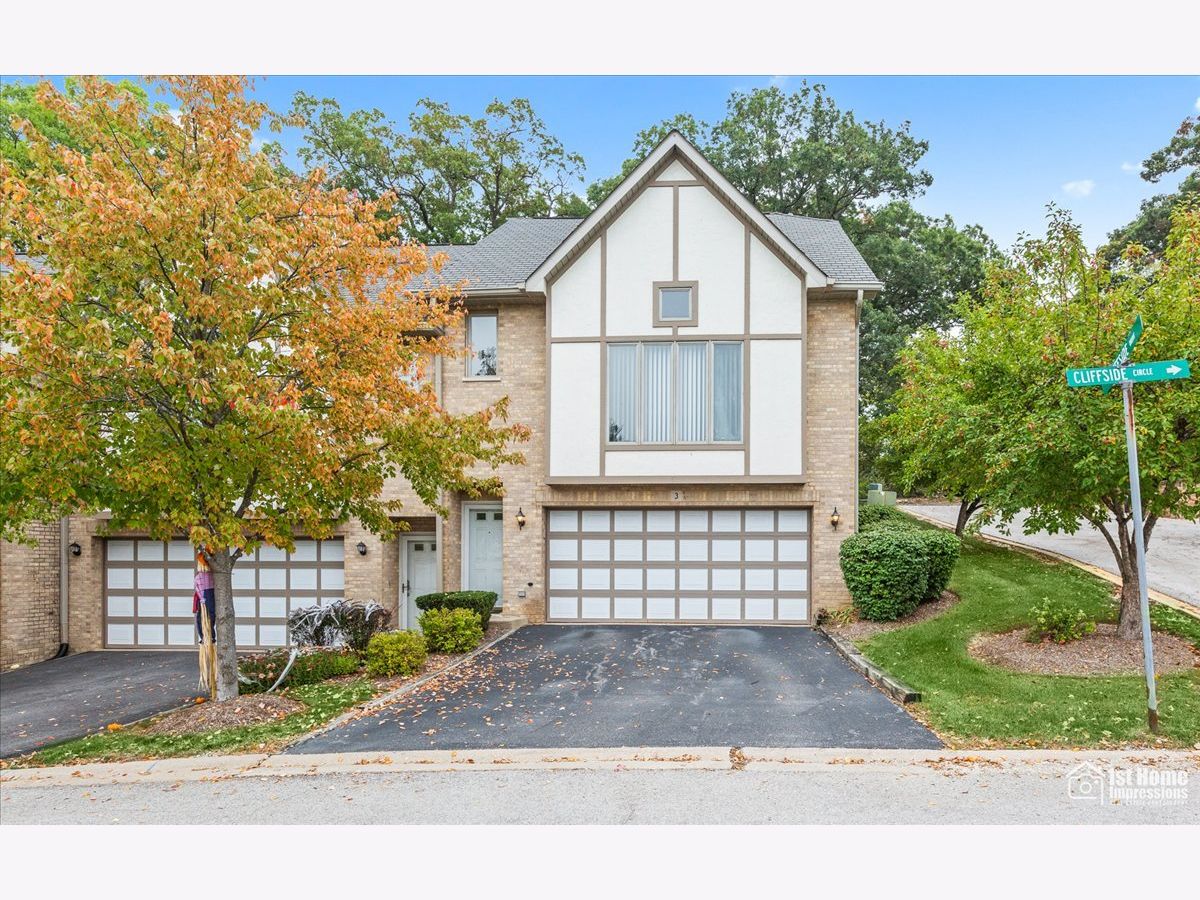 Townhomes Sold Cliffside Willow Springs Illinois, 3 Cliffside Circle