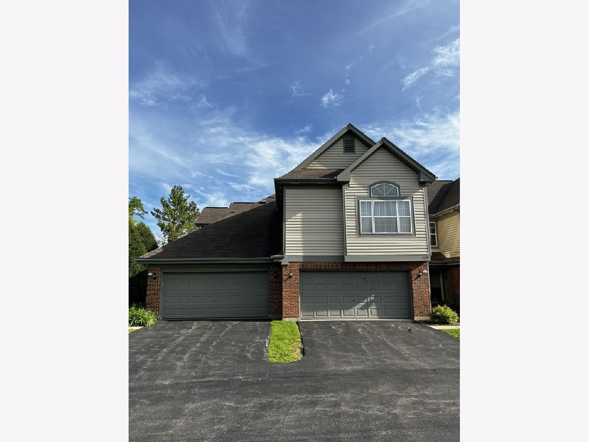 Townhomes & Condos Sold Checker Place Buffalo Grove Illinois, 239 Manor