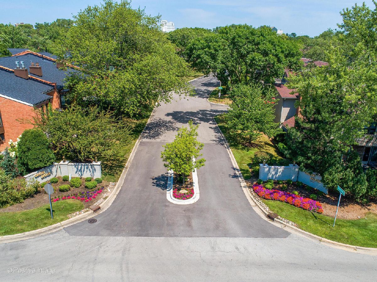 Townhomes & Condos Sold Gingerbrook Oak Brook Illinois, 2S728 Ginny