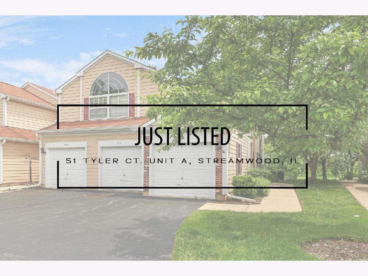 Townhomes & Condos & Homes Rented Manors Of Oak Knoll Streamwood Illinois, 51 Tyler