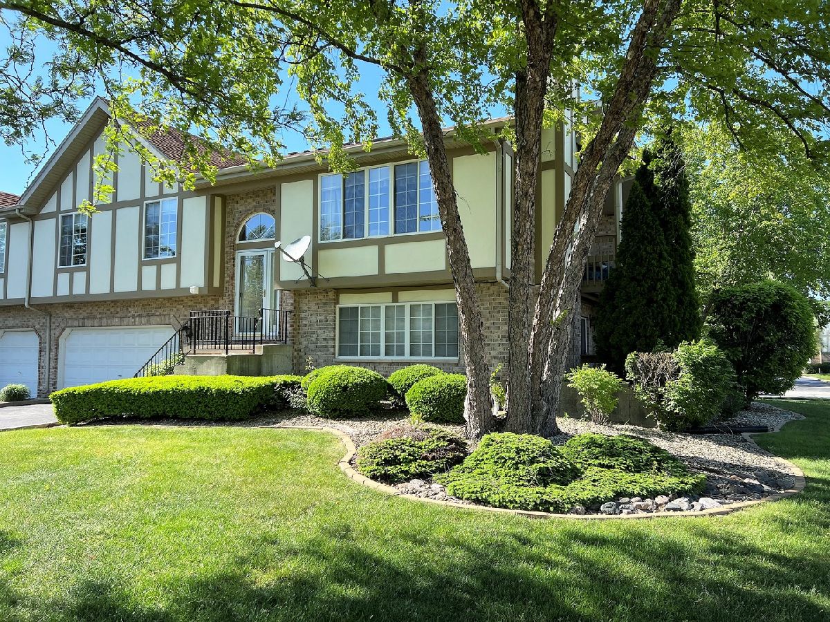 Townhomes & Condos Sold Eagles Nest Tinley Park Illinois, 6718 Eagle