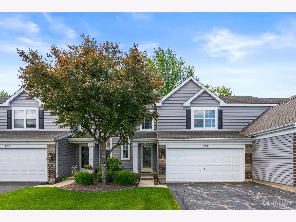Townhomes Sold Mistwood Crystal Lake Illinois, 729 Silk Oak
