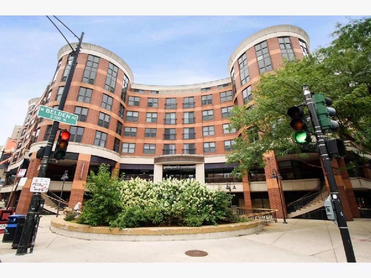Condominiums Sold Belden Centre Chicago Illinois, 350 Belden