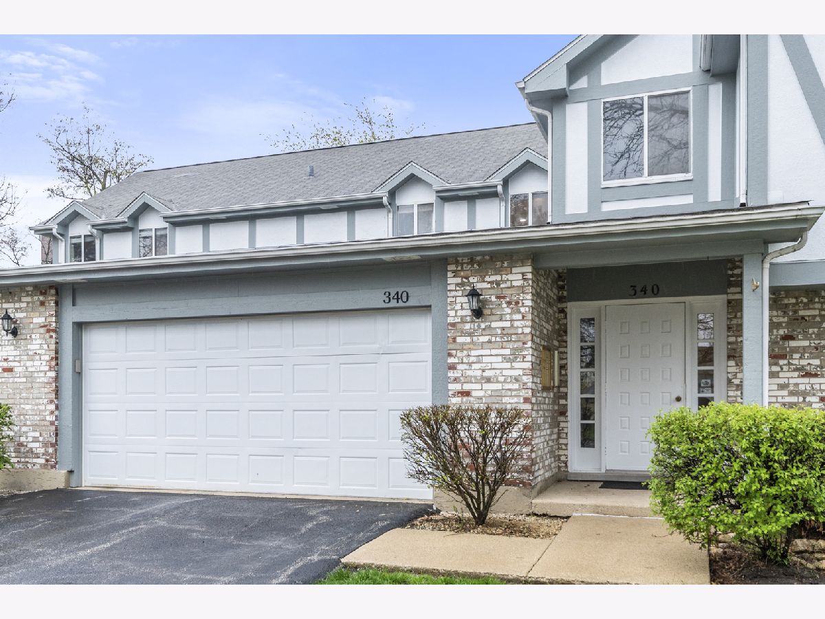 Condos & Townhomes & Homes Rented Springlake Aurora Illinois, 340 Springlake