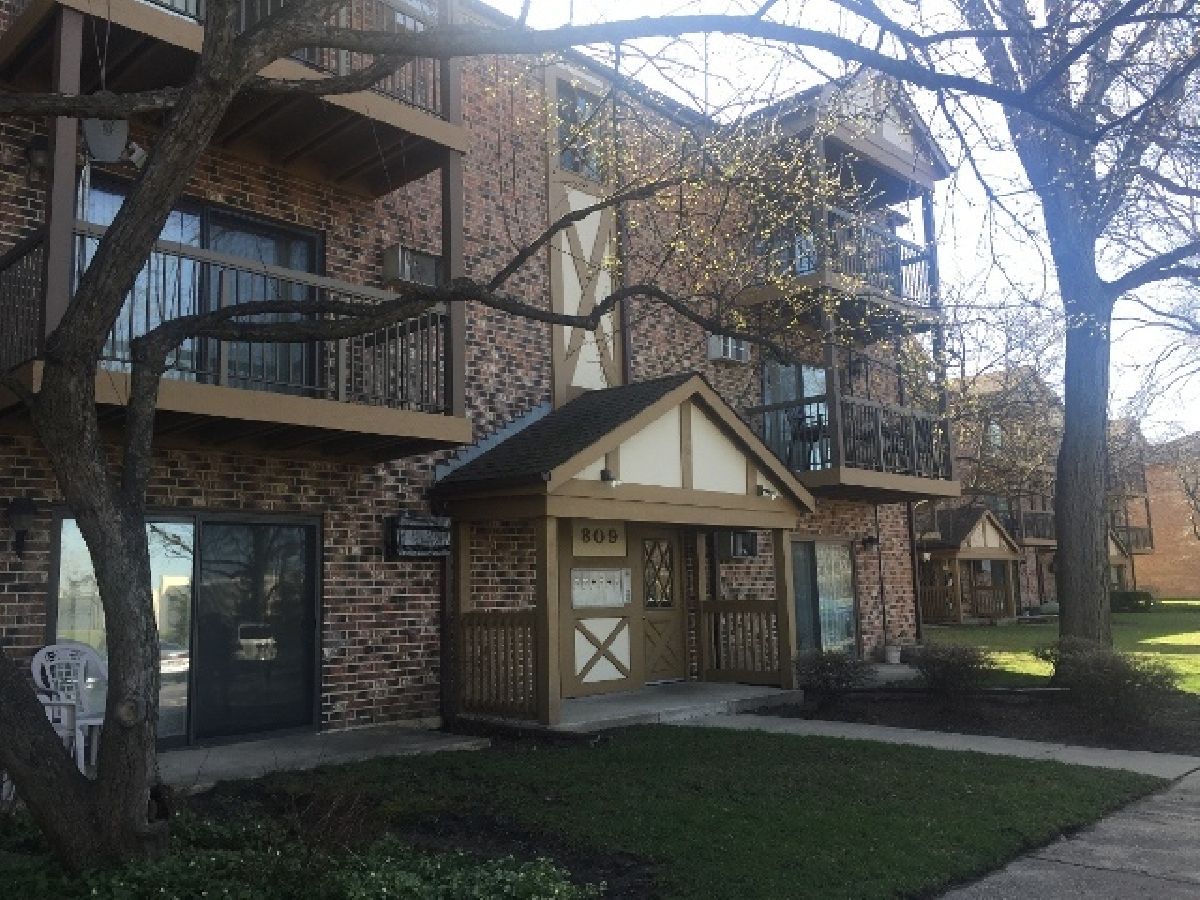 Condominiums Rented Church Creek Arlington Heights Illinois, 809 Dwyer