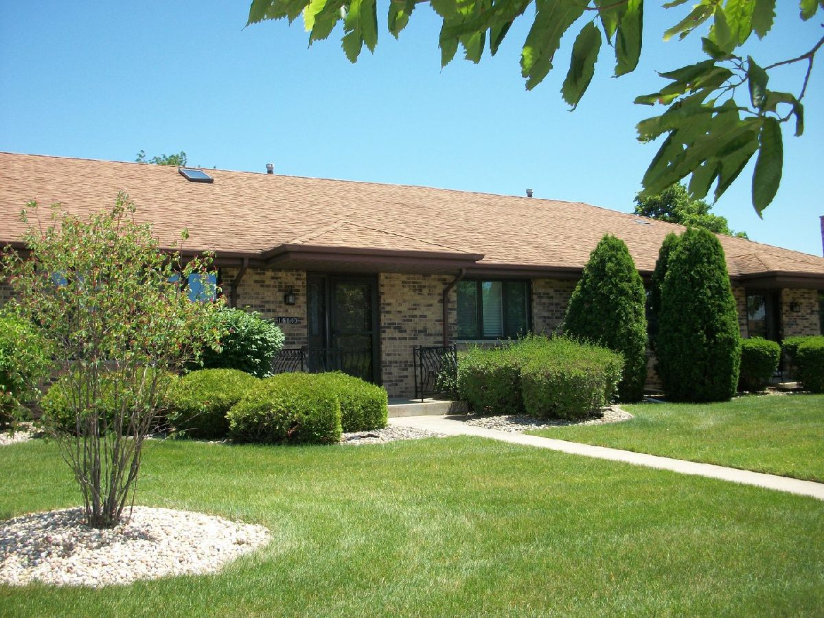 Townhomes & Condos & Homes Sold Eagle Ridge Tinley Park Illinois, 16063 Pine