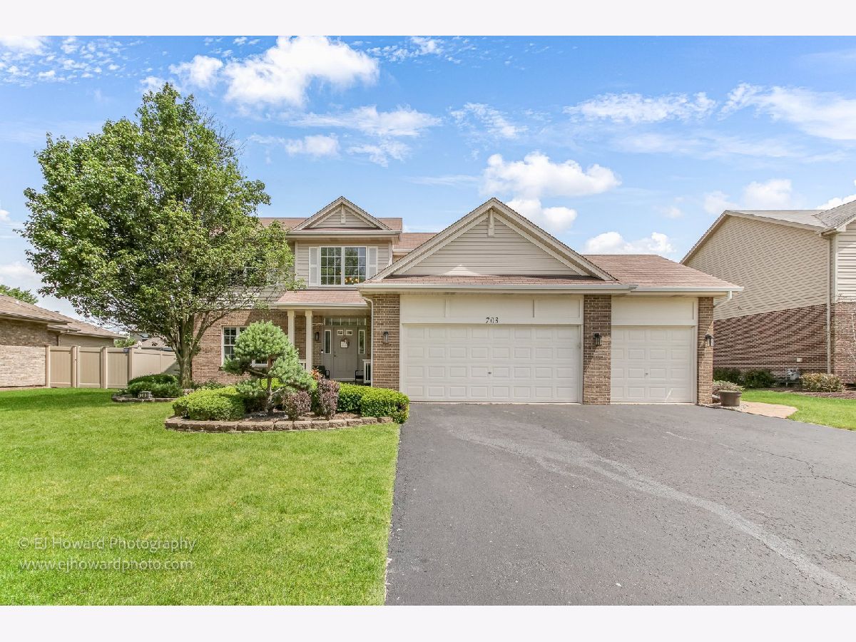 Homes Sold Laraway Ridge New Lenox Illinois, 703 Turtledove