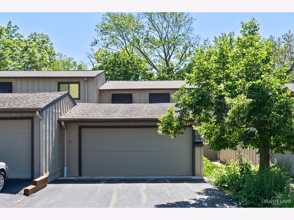 Townhomes Sold Tyler Bluff Elgin Illinois, 1091 Florimond