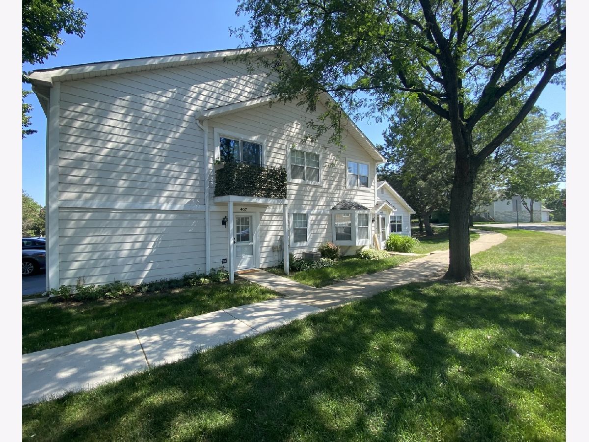 Townhomes & Condos Sold Cornell Lakes Palatine Illinois, 407 Lake Shore