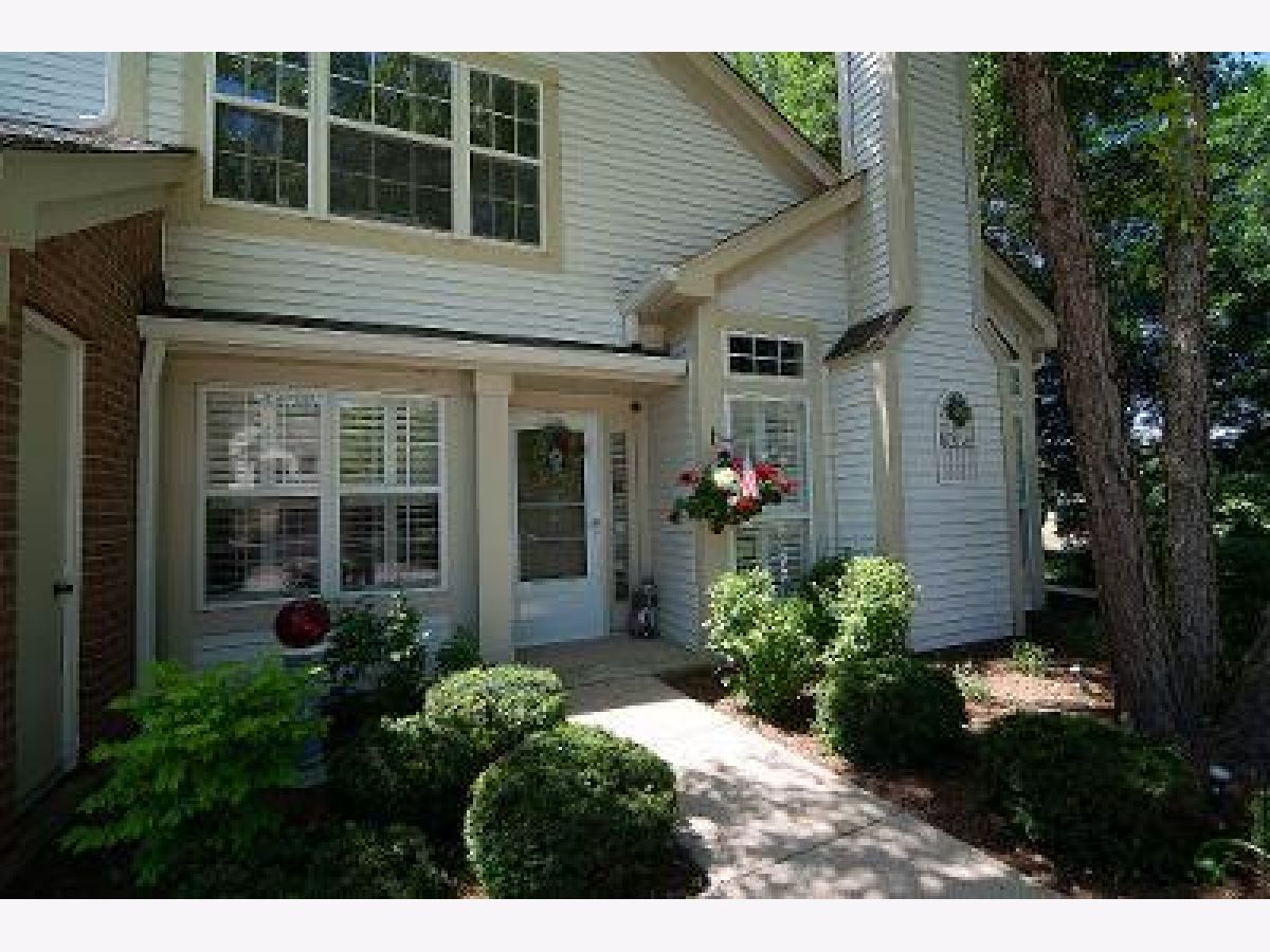 Townhomes & Condos & Homes Sold Fairfax Commons Silvercrest Bartlett Illinois, 1644 Cayman